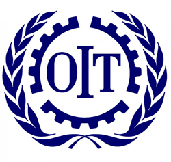 O.I.T.: Gerardo Martinez en la Reunión Preparatoria para la Discusión del Empleo en el G20-México